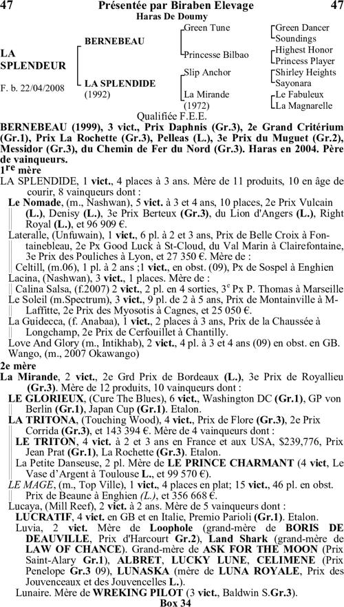 Miniature pedigree