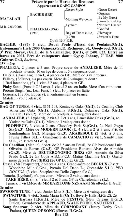 Miniature pedigree