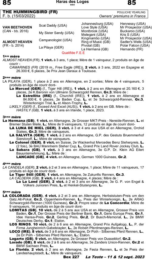 Miniature pedigree