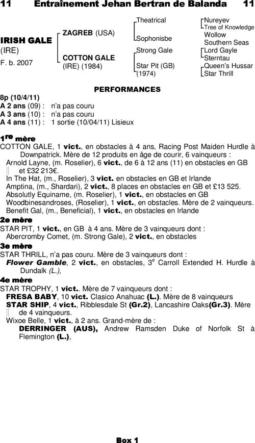 Miniature pedigree
