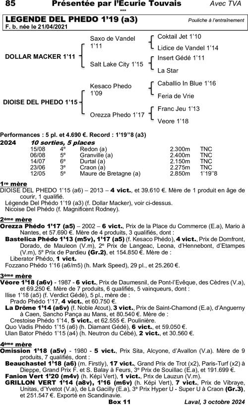 Miniature pedigree