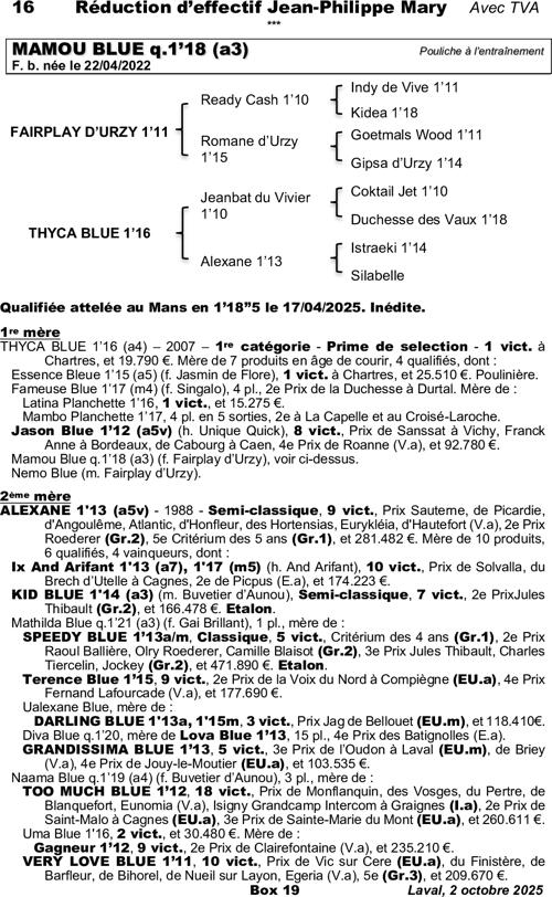 Miniature pedigree