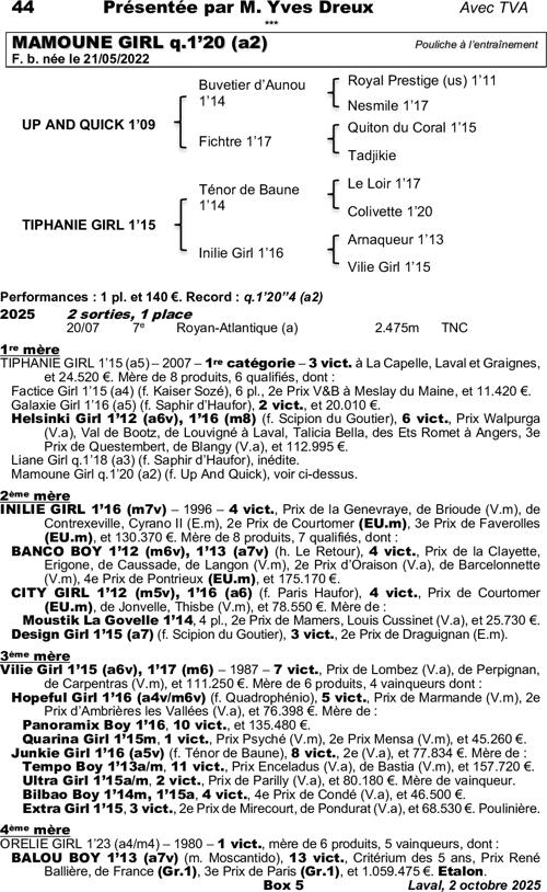 Miniature pedigree