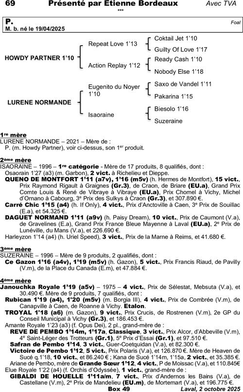 Miniature pedigree