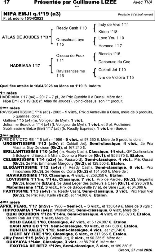 Miniature pedigree