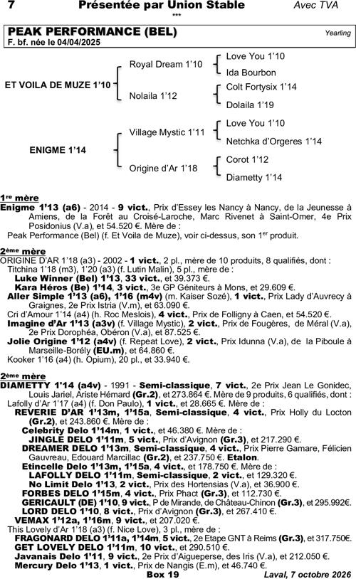 Miniature pedigree