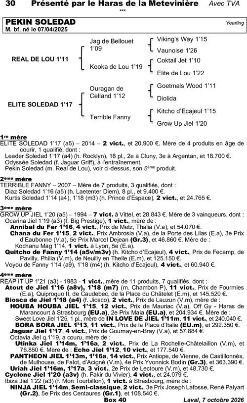 Miniature pedigree