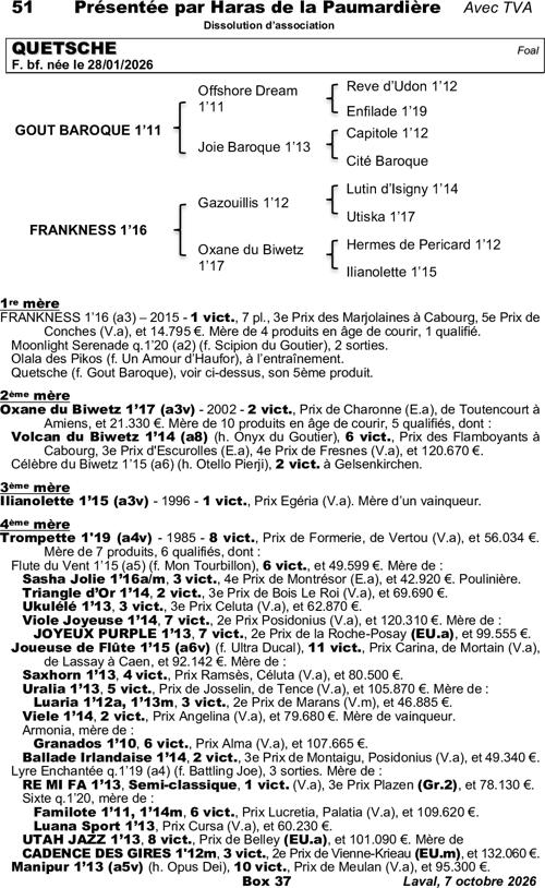 Miniature pedigree