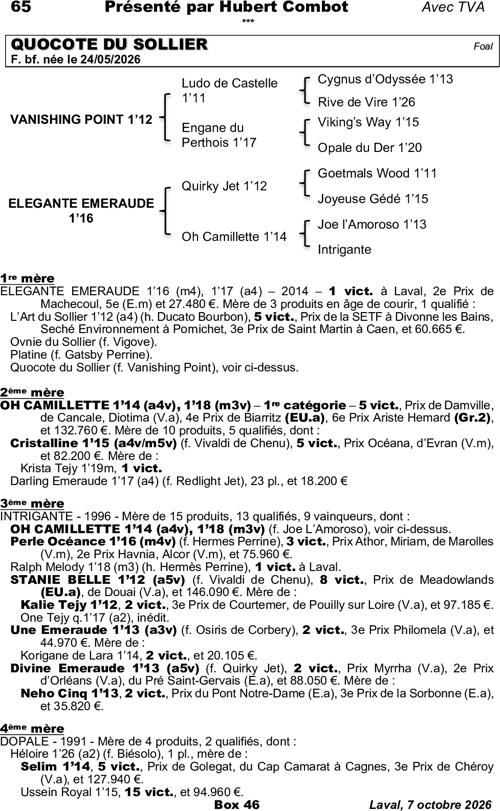 Miniature pedigree