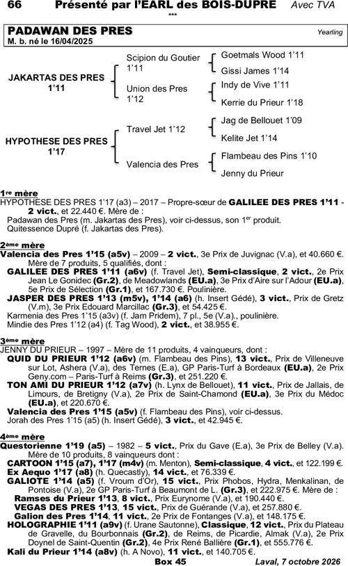 Miniature pedigree