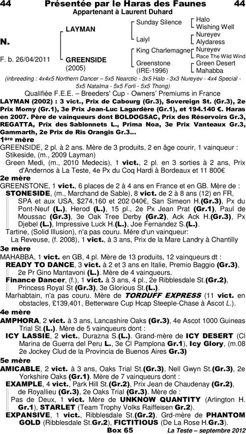 Miniature pedigree