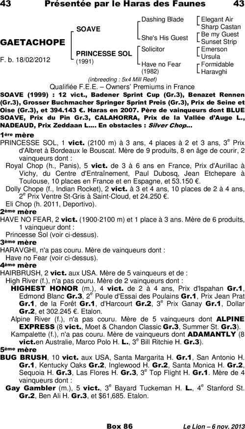 Miniature pedigree