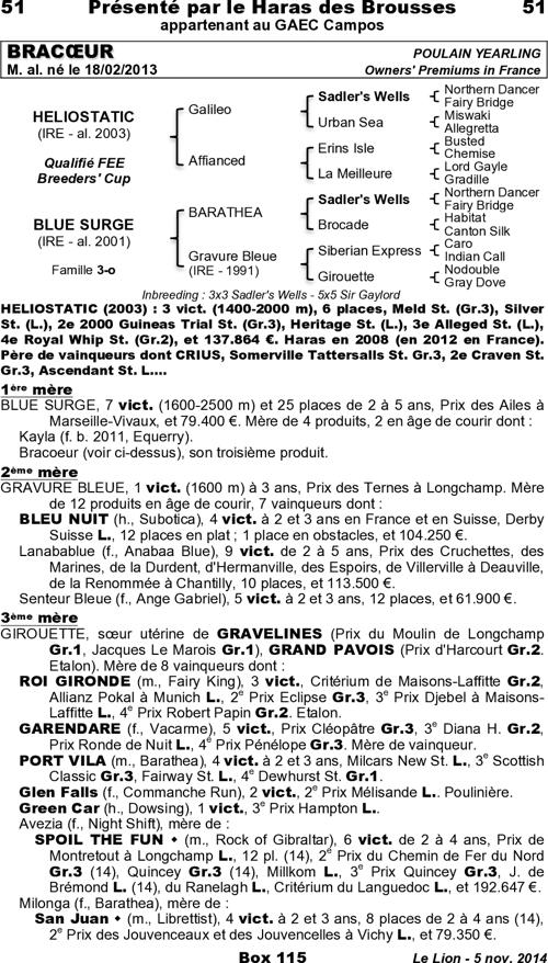 Miniature pedigree
