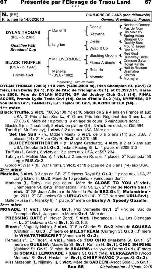 Miniature pedigree