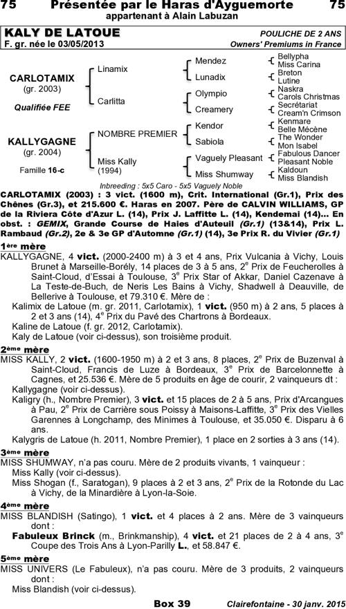 Miniature pedigree