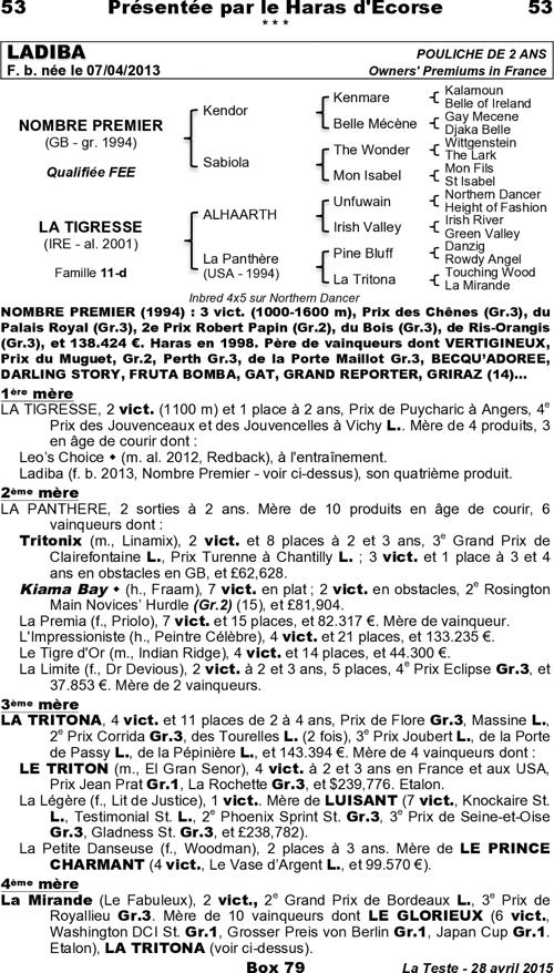 Miniature pedigree