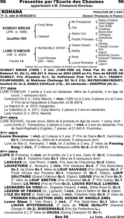 Miniature pedigree