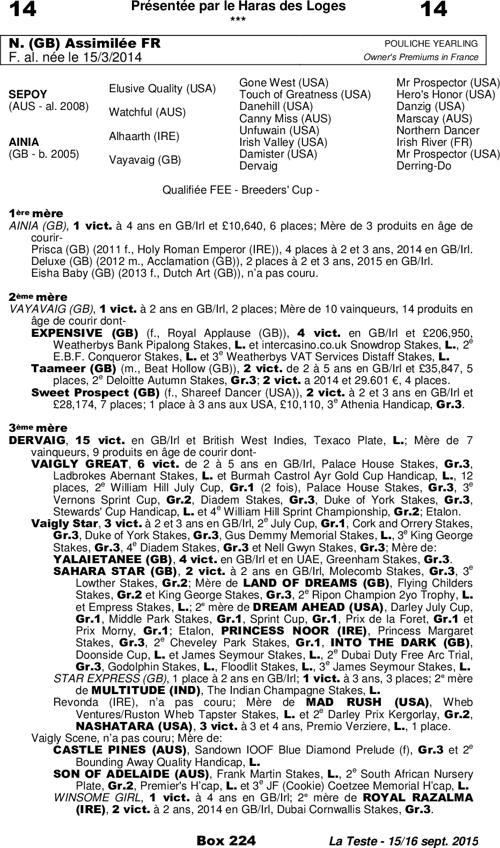 Miniature pedigree