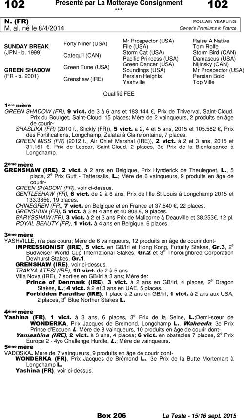 Miniature pedigree