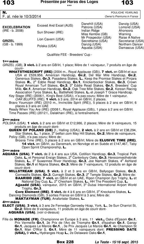 Miniature pedigree