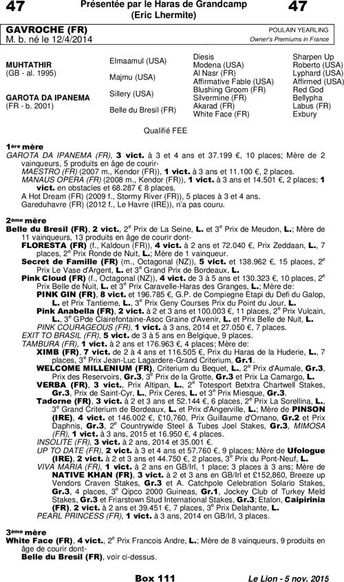 Miniature pedigree