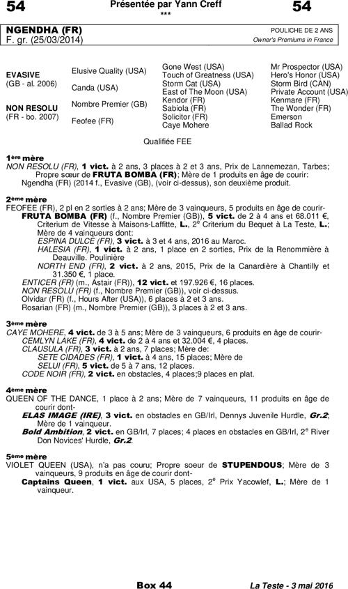 Miniature pedigree