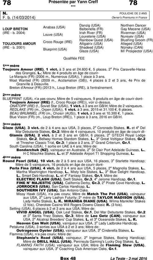 Miniature pedigree