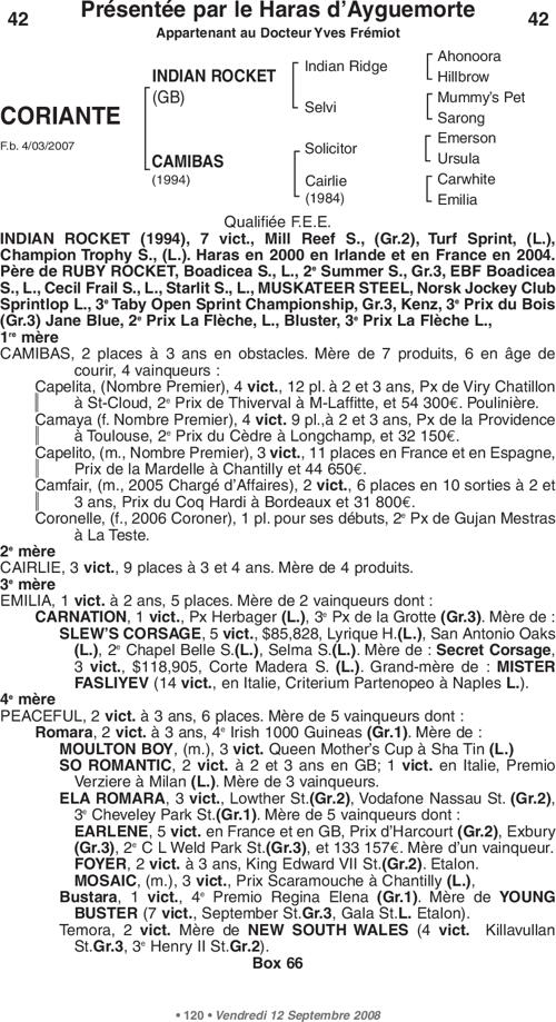 Miniature pedigree