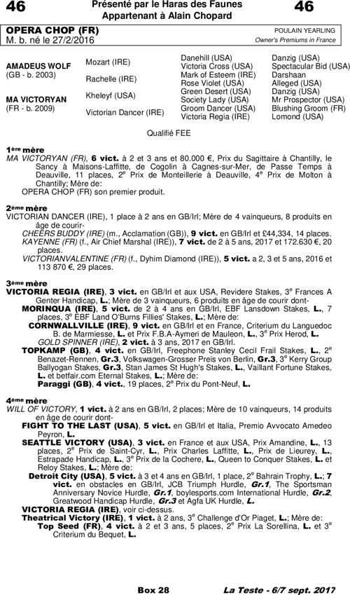 Miniature pedigree