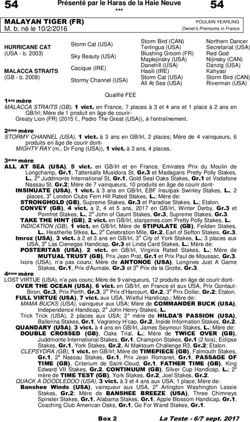 Miniature pedigree