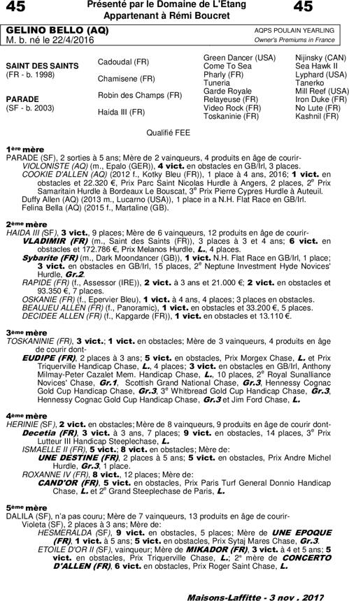 Miniature pedigree
