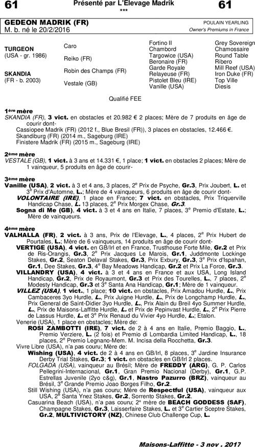 Miniature pedigree