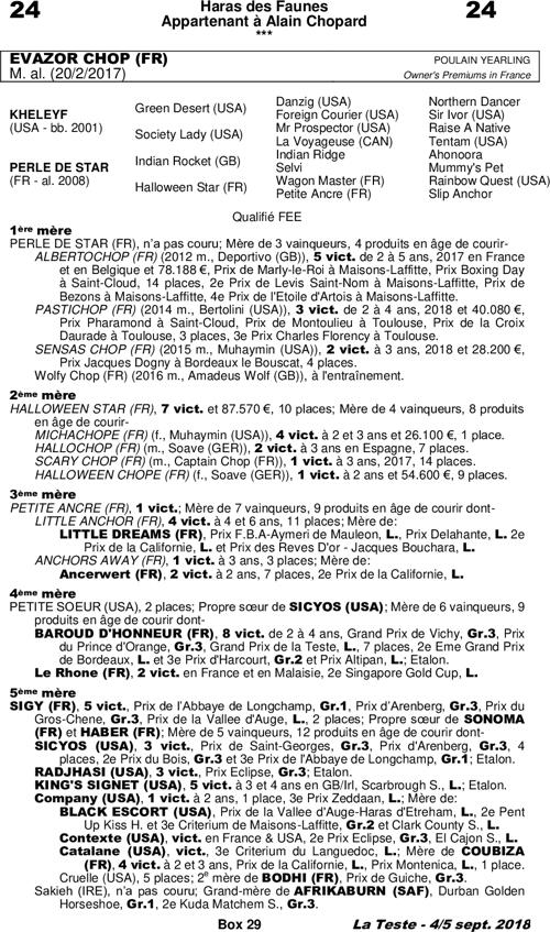 Miniature pedigree