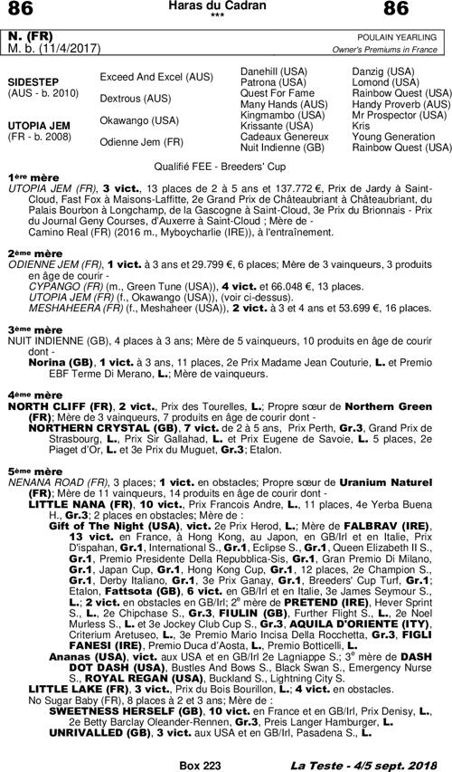 Miniature pedigree
