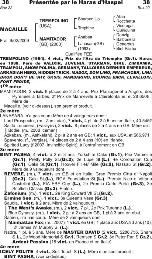 Miniature pedigree