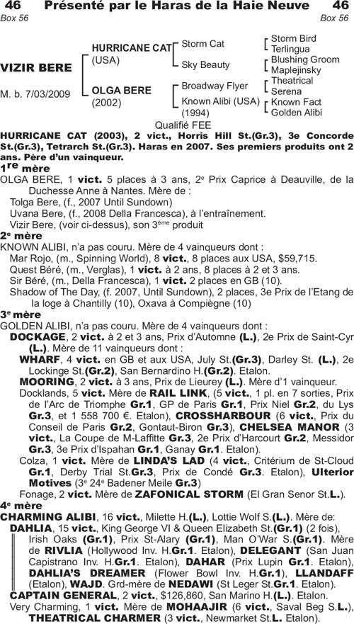 Miniature pedigree