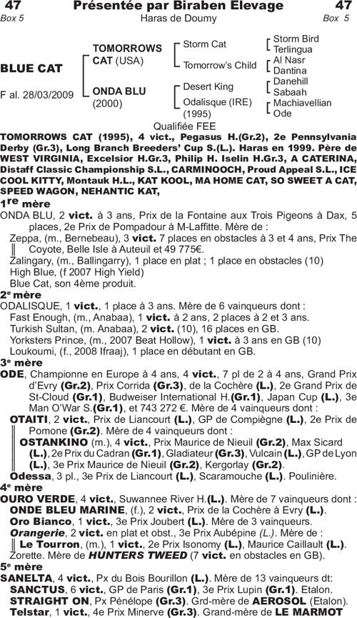 Miniature pedigree