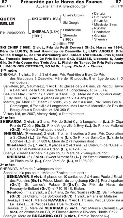 Miniature pedigree