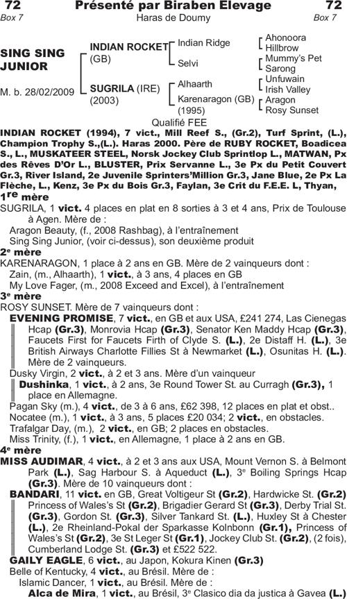 Miniature pedigree