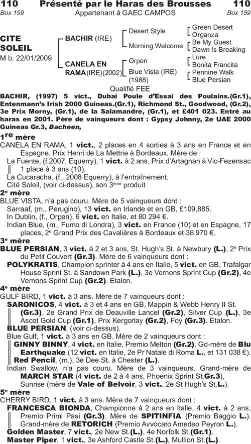 Miniature pedigree