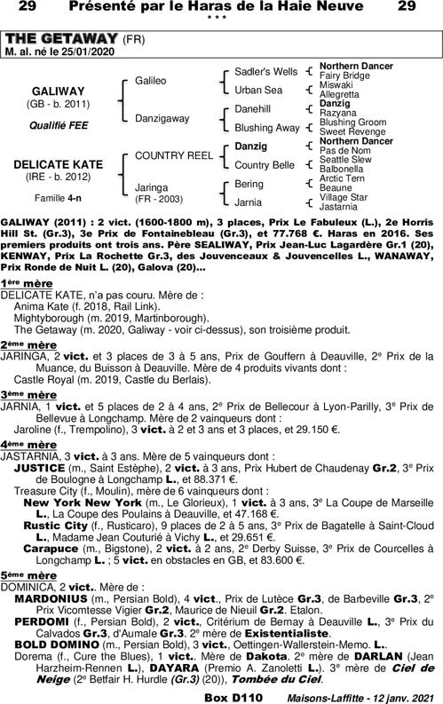 Miniature pedigree