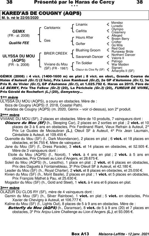 Miniature pedigree