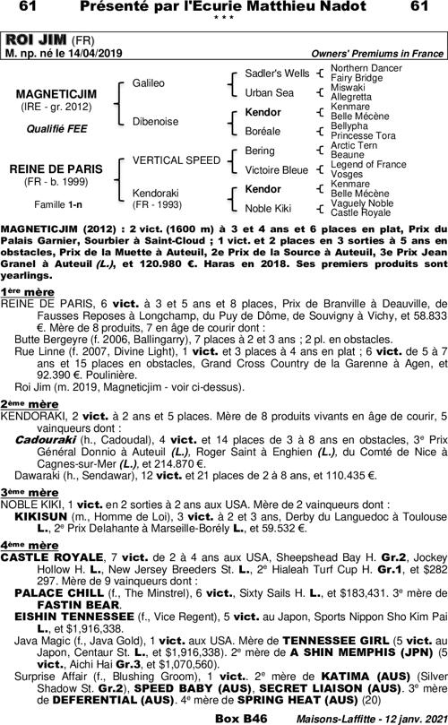 Miniature pedigree