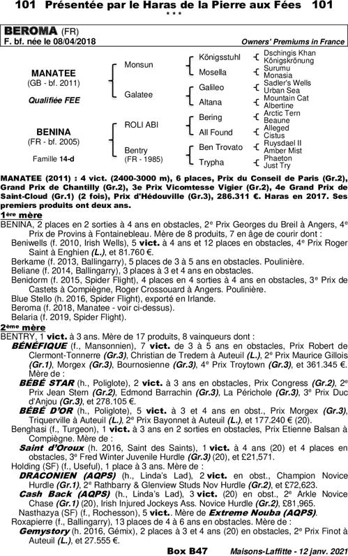Miniature pedigree