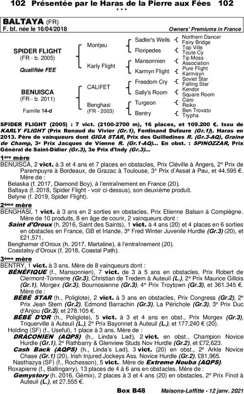 Miniature pedigree