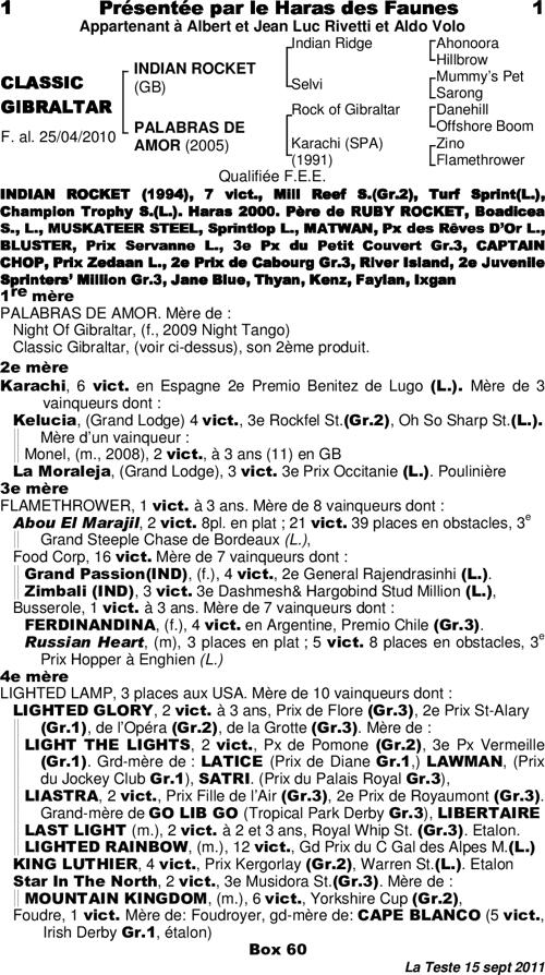 Miniature pedigree